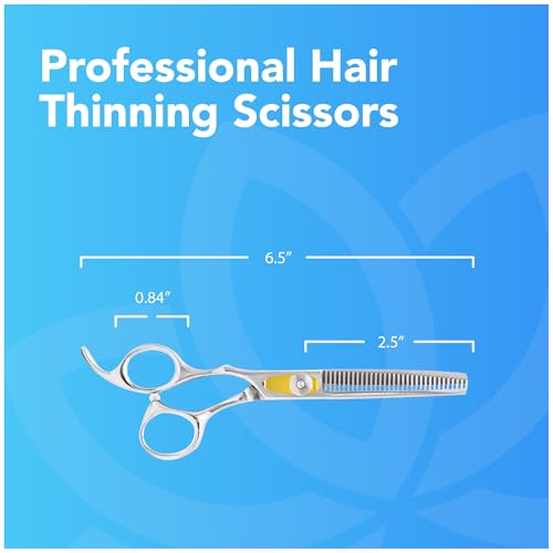 Equinox International, Professional Hair Scissors, Japanese Stainless Steel-Barber Hair Cutting Texturizing Thinning Razor Edge Series Teeth Shears for Men/Women/Kids/Salon & Home-6.5" Overall Length