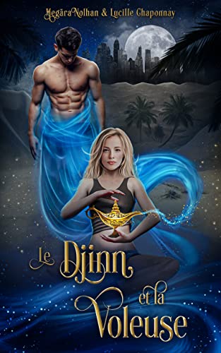 Le Djinn et la Voleuse (Il était (encore) une fois)