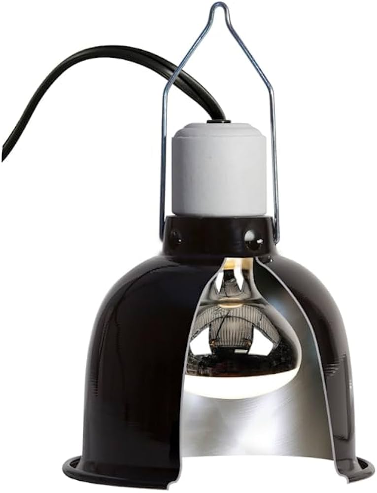 Wire Cage Clamp Lamp (max 150w) - Verlichting