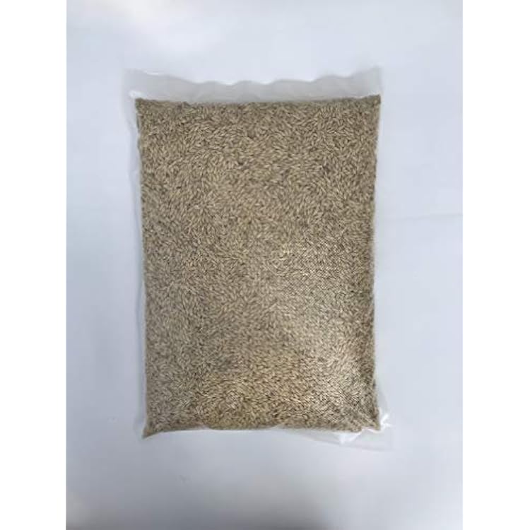 Barley Seed 5 Lb - Sprouting
