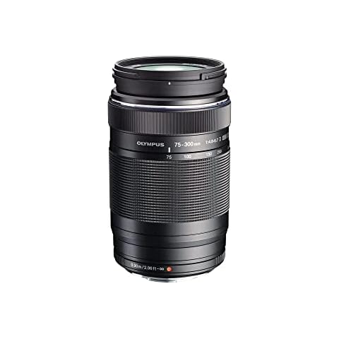 Olympus M.Zuiko Digital 75-300mm 1 Cover