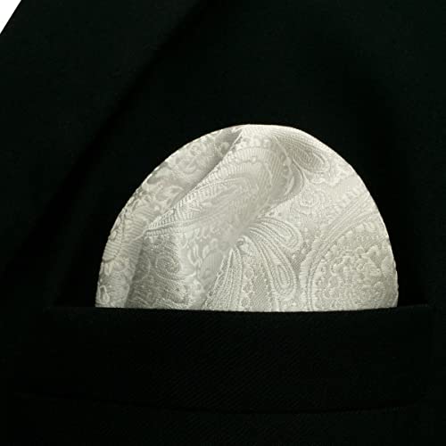 Shlax&Wing Mens Pocket Square Silk White Solid Color Paisley For Suit Jacket New #TOP1