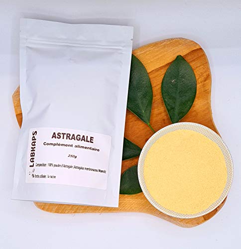ASTRAGALE POUDRE 250g