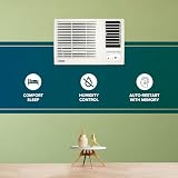 Blue Star 0.8 Ton 3 Star Fixed Speed Window AC (WFD309L) — view 4