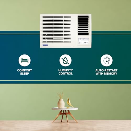 Blue Star 0.8 Ton 3 Star Fixed Speed Window AC (WFD309L) — view 4