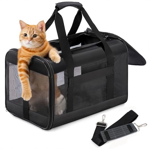 Conlun Katzenboxe Flugzeugtauglich, Weichseitige Hundetransportbox mit Innenleine, Transport für kleine bis mittelgroße Katzen und Welpen bis 7 kg, Zusammenklappbare Reisetasche -Schwarz,M Conlun Katzenboxe Flugzeugtauglich, Weichseitige Hundetransportbox mit Innenleine, Transport für kleine bis mittelgroße Katzen und Welpen bis 7 kg, Zusammenklappbare Reisetasche -Schwarz,M