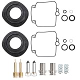 Ollanoos 2 Stück Vergaser Reparaturset, Komplettes Vergaser Überholset, Ersatz für Suzuki GS500E 1989-2000