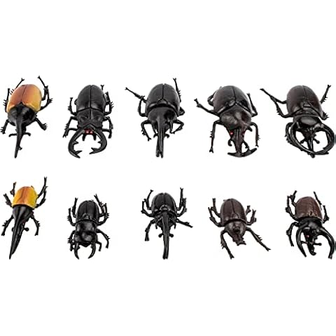 Bbiamsleep 10pcs Beetle Figurine Realistic Beetles Figure Models Garden Animal Simulated Beetle Figures Cover