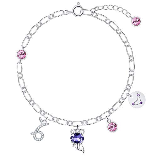 PLATO H Women Zodiac Signs Crystal Charm Bracelet, Birthstone Gifts for Friend, Birthday Anniversary Christmas with Gift Box for Her Capricorn by PLATO H - Used condition - US$5.62