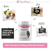 TierPlus Haarpracht, hochdosiertes Biotin Komplex für Hunde, gegen Haarausfall, Juckreiz & trockene Haut- Für EIN glänzendes Fell & schöne Haut, 120 Tabletten