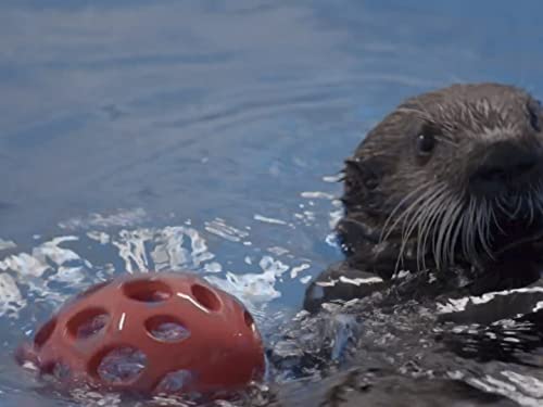 Kleiner Mann, was nun?