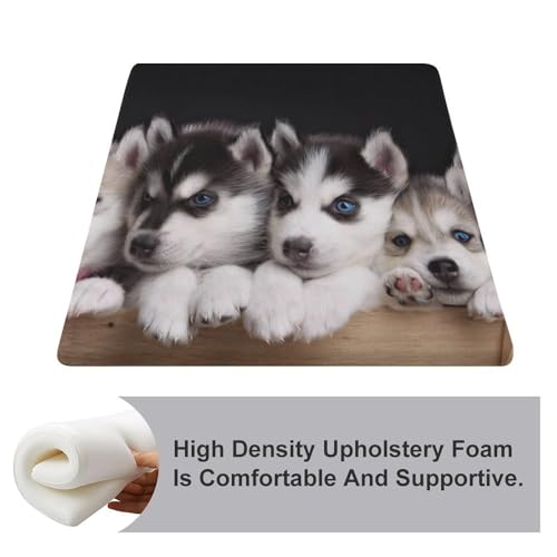 Coussin Husky mousse mémoire de forme galette de chaise bureau lavable - 4