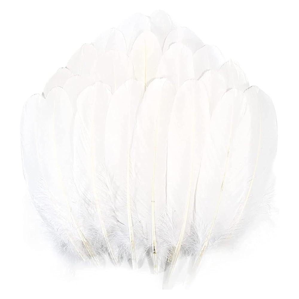 400 PCS Feathers for Crafting, White Feathers for Crafts, 6-12cm Craft Feathers, Natural Goose Feather for Arts Decorations, Wedding Home Party Decorations, DIY Dream Catcher Ornament (White)