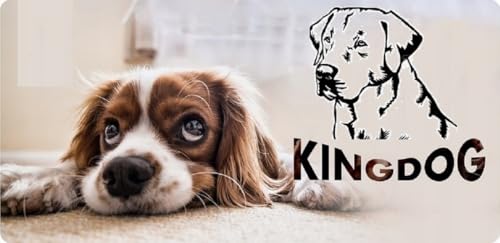 KING DOG Hundebett 75x65 cm personalisiert wasserdicht mit schwarzem Knochendetail