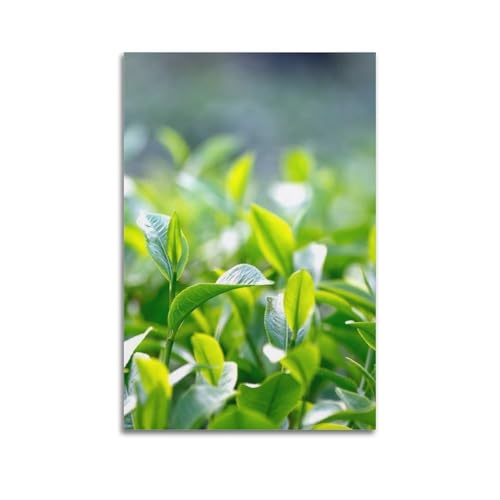 Poster mural artistique ZHOUKEG en lin suspendu motif thé vert