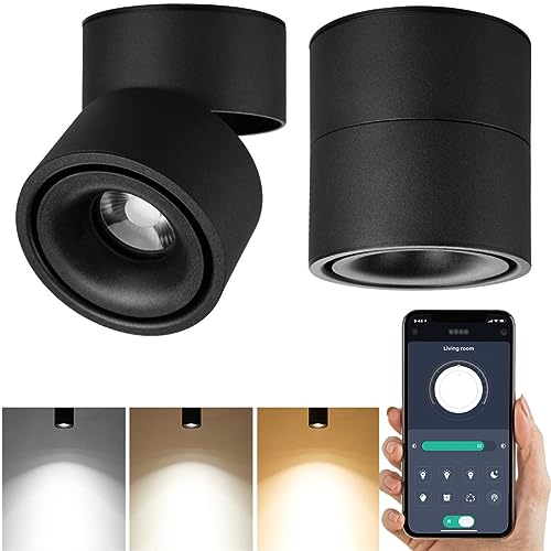 Image of LED Dimmable Ceiling Art Spotlight - 360Adjustable Indoor Surface Mounted 10W COB Lighting -Stepless Dimming Warm Light 3000K to Cool White 6000K Ceiling Downlight-Wall Swivel Lamp (Black)
