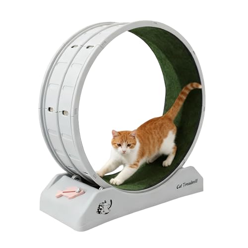 Refein Cat Exercise Wheel For Indoor - Plastic Cat Running Wheel With Silent Spinning & Safety Lock For Cats Fitness, Cats Treadmill With Carpeted Runway For Kitty's Health, Gray And Green - 8