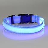 Arcturus LED Dog Safety Collar, Blue, Large