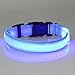 Tzou Dog Safety Collar, Blue, Large