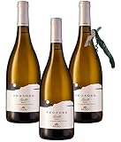 Sicilia Bedda - FAZIO VINI - Vino Bianco Prodotto a Erice - IDEA REGALO (AEGADES GRILLO Erice Doc, 3 Bottiglie con Apribottiglia)