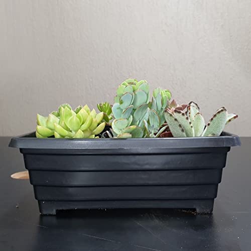 Vaso Floreira para Plantas Flores Jardineira para Horta (20cm, Preto)