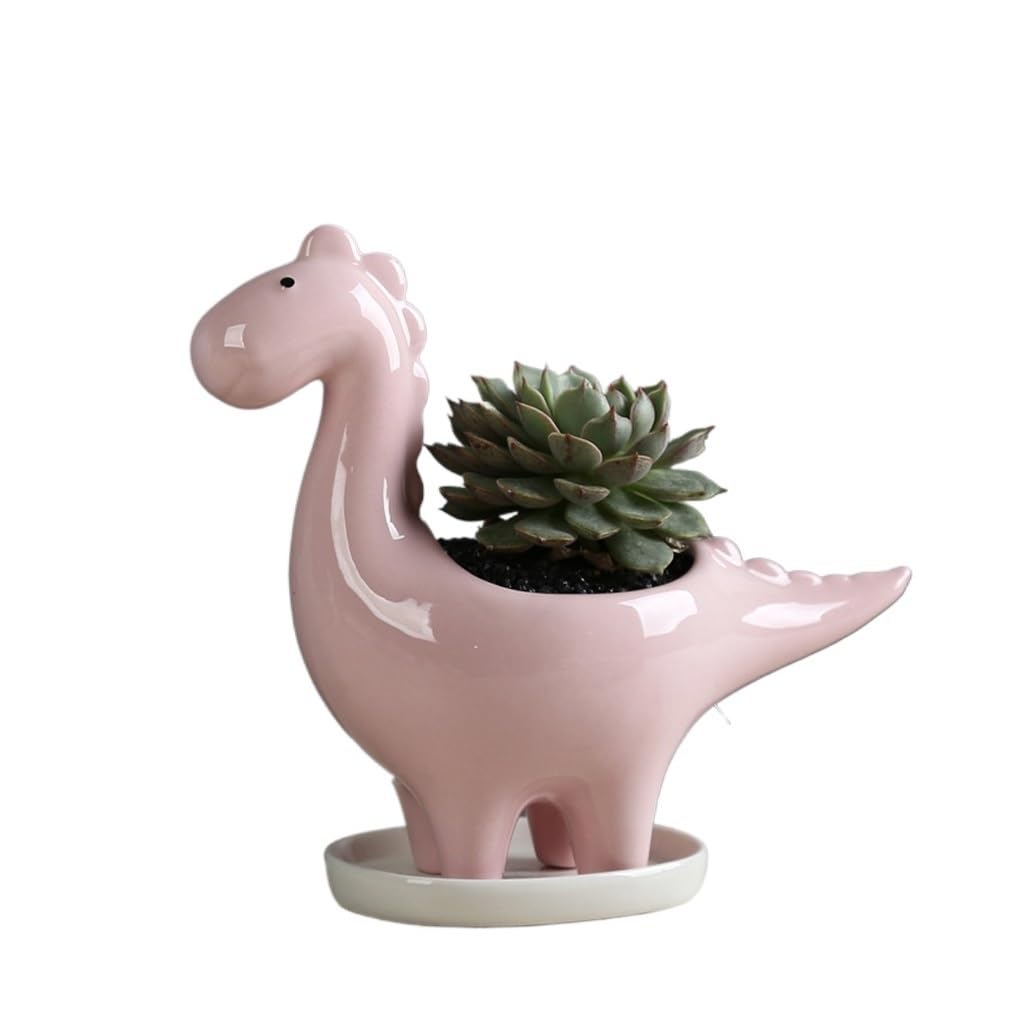 GELASIGE Flower Pots Creative Succulent Flowerpots, Animal Dinosaur Ceramic Flowerpots, Desktop Decorations Outdoor Flower Pots(A)