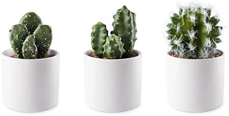 Artifloral Artificial Cactus Fake Plants Set with White Ceramic Pots, 6 Packs, Mini Faux Plants in Pots Indoor, Realistic Fake Plants For Home Decor Indoor Bedroom Office Desk Tabletop Shelf
