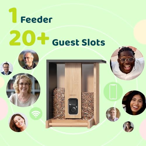 NETVUE by Birdfy Bamboo Bird Feeder with Camera Solar Powered,2K Live Stream&Lifetime AI Bird Identification&Motion Detection,birdswatching Ideal Bird Feeder Gift for Moms and Bird Lovers by NETVUE - Used condition - Image 8