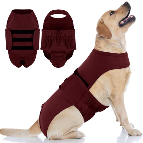 PUMYPOREITY Dog Diaper with Suspender, Escape-Proof Anti-Harassment Garment for Heat Cycle, Incontinence, Puppy Training, Senior Dog, L, Burgundy