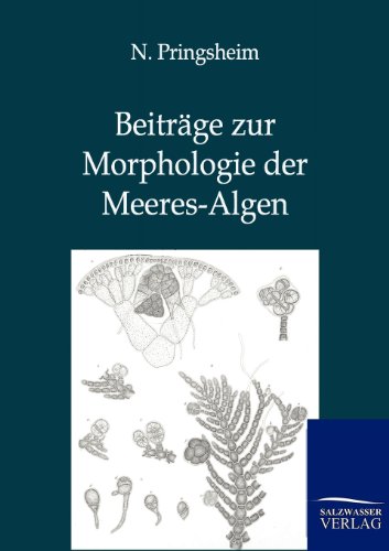 Beiträge zur Morphologie der Meeres-Algen (German Edition)