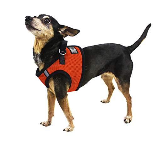 Dogline Boston Step In Mesh Dog Harness With Service Dog Patch No Choke Pet Vest Soft Gentle Padded Chest Halter For Puppies Small Medium And Large Dogs 12 To 14 Inches Girth Orange #TOP5