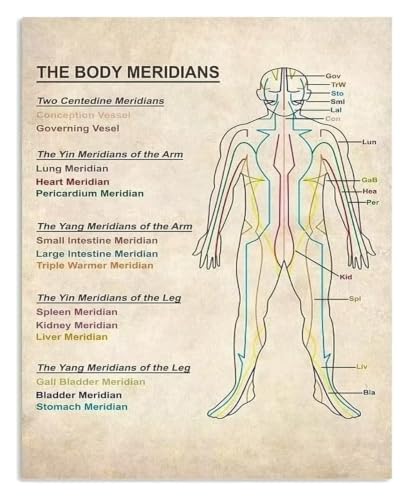 CJJNXYZMD Chinese Medicine Meridian Metal Tin Sign Pathway Reference for TCM Practitioner Herbalist Office 8 X 12 inch