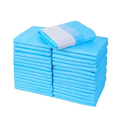 Pet Believe Dog Training Pee and Potty Pads with Quick Drying Surface and Absorbent Core Suitable for All Breed Puppies, Dogs & Cat- (Pack of 10 Pcs) Size 90×60 (B0B217W873) Amazon Price History, Amazon Price Tracker