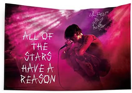 Gormcore Tapestry Lil Peep Bedroom Aesthetics Lil Peep Pink Tapestry Wall Hanging for Bedroom Pop Art Home Decor for Living Room Dorm Decor Curtain Balcony Partition 59.1x39.3 Inch Type 2