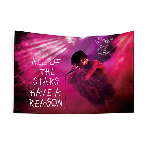Gormcore Tapestry Lil Peep Bedroom Aesthetics Lil Peep Pink Tapestry Wall Hanging For Bedroom Pop Art Home Decor For Living Room Dorm Decor Curtain Balcony Partition 59.1X39.3 Inch Type 2 #TOP1