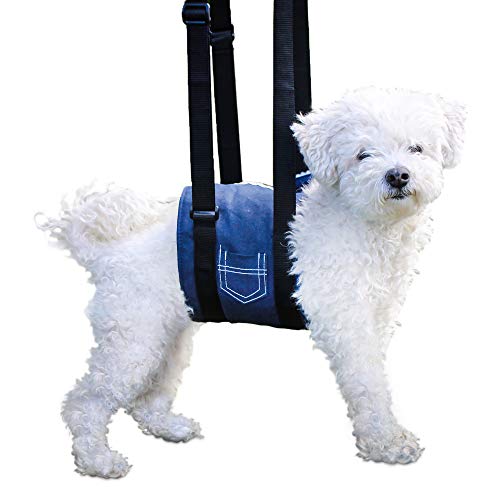 Support Sling Dog Harness For Full Body Support | Prevents Injuries | Helps With Post-Surgical Rehabilitation | Height Adjustable Handles #TOP29