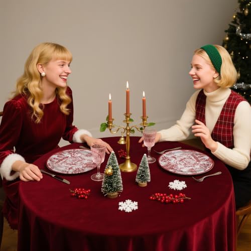 RUSPEPA 25 Pcs Christmas Paper Plates, 9 Inch Vintage Red Santa Toile Design Disposable Plates Decorative Dinner Tableware for Xmas Dinner, Family Winter Gathering — 사진 4