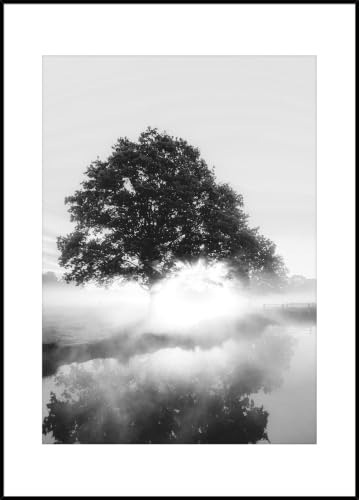 Brouillard noir et blanc photographie murale pour habiller un grand mur vide