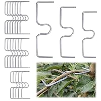 SKIPTHYBER 22 Stück Astspreizer für Obstbäume, Astzieher Halter für Obstzweige,Metall M Förmiger Astspreizer,Pflanzenstütze für Gartenzweige,Zum Spreizen und Ebnen von Obstbaumzweigen