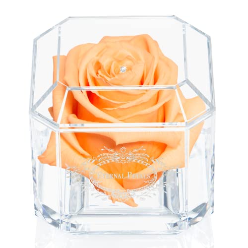 Eternal Petals A Real Rose That Lasts A Year - White Gold Solo with Swarovski Crystal (Peach)