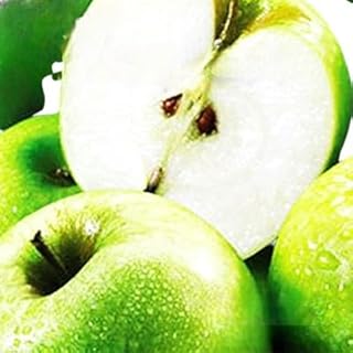 【2025年10月順次発送 先行予約】長野市産 グラニースミス 約4.5キロ 果物類 林檎 りんご リンゴ 約4.5kg フルーツ