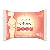 興和新薬 ホッカイロ Hokkairon 貼る レギュラー 10個 低温カイロ