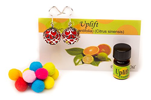 Izzybell Jewelry Sterling Silver Small Aromatherapy Diffuser Earrings ...