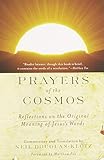  Prayers of the Cosmos: Reflections on the Original Meaning of Jesus\'s Words