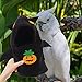 Happyyami Halloween Bird Costume for Parrots Cozy Fleece Cockatiel Outfit Creative for Pet Birds for Cosplay Parties and Festive Celebrations
