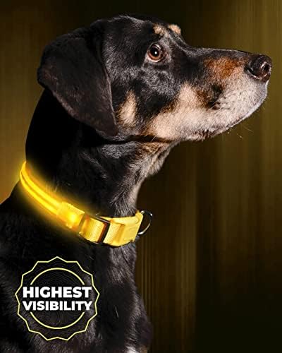 ILLUMISEEN LED Light Up Dog Collar - Bright & High Visibility Lighted Glow Collar for Pet Night Walking – USB Rechargeable – Weatherproof, in 6 Colors