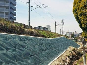 Amazon ザバーン防草シート 240g 1ｍ 10ｍ グリーン デュポン社 防草シート 園芸用シート