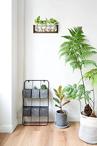Mkono Plant Propagation Vase Glass Terrarium With Wooden Stand Farmhouse Glass Planter Bulb Vase For Hydroponics Plants Room Home Office Decor #TOP1