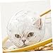 POPETPOP Pet Space Hood -Chewing Cat Hood Helmet for Dogs After Surgery Hood for Cats After Surgery Helmet for Cat Breathable Cat Hood Adjustable Kitten Helmet Helmet