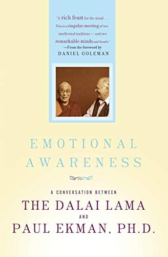 Emotional Awareness: Overcoming the Obstacles to Emotional Balance and Compassion